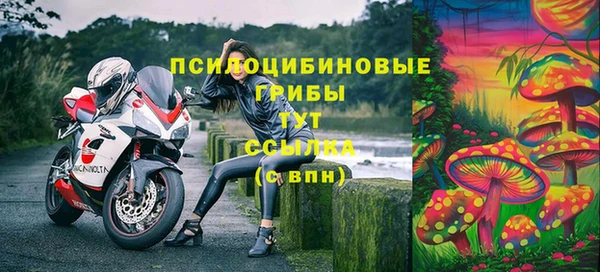 a pvp Абинск