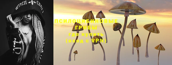 a pvp Абинск