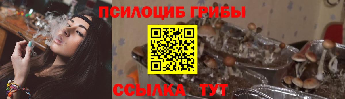 Галлюциногенные грибы мухоморы Азнакаево